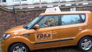 Fake Driving School rá spriccelek a óriási barna faszodra